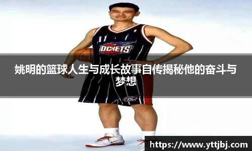 金年会