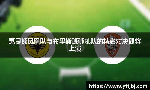 jinnianhui金年会